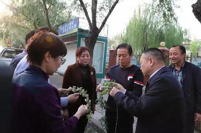杨柳絮治理新探索 漯河市创新物业管理模式应对飞絮季